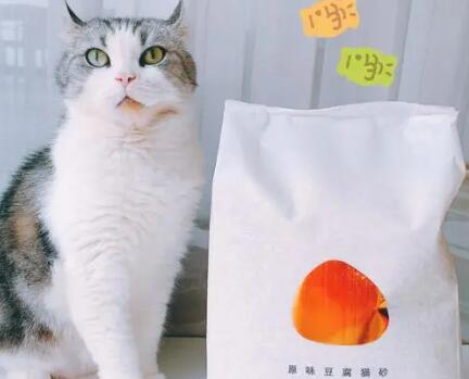 包子脸猫砂怎么样 包子脸猫砂怎么样