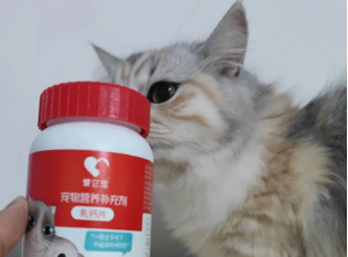 猫咪为什么要补充钙