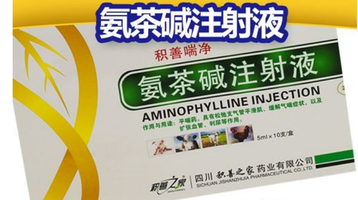 氨茶碱主要用于