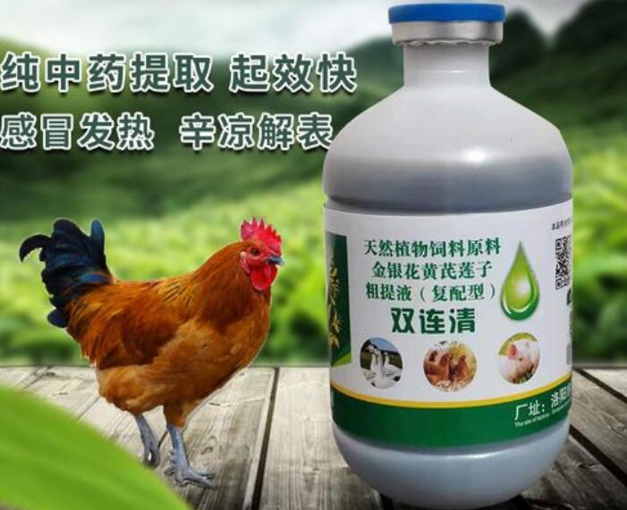 双黄连口服液可以和黄连上清片一起吃吗 双黄连口服液可以和黄连上清片一起吃吗
