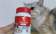 猫需要补充钙吗