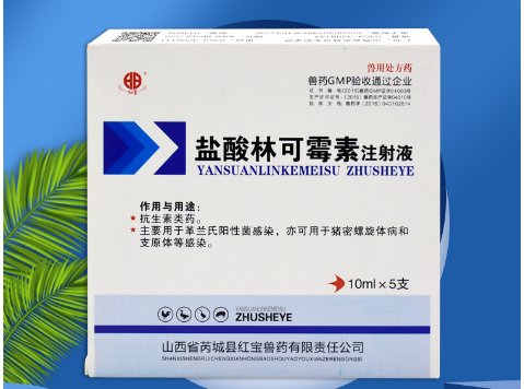 盐酸林可霉素配伍禁忌
