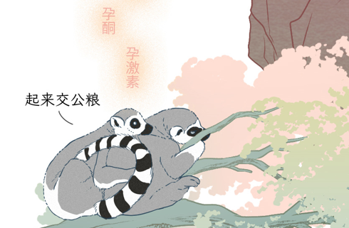 为什么动物都有发情期,人却365天都可发情 为什么动物都有发情期,人却365天都可发情