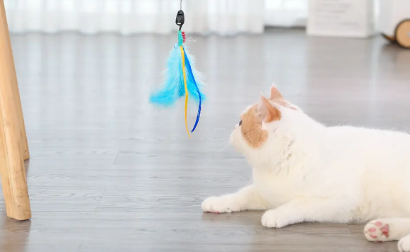 逗猫棒可以用什么做