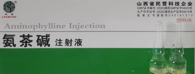 氨茶碱泵入用量 氨茶碱泵入用量