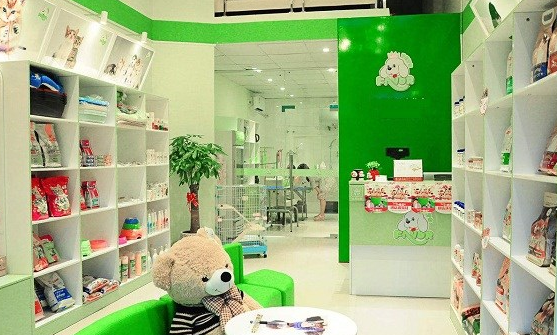 宠物店加盟费是多少