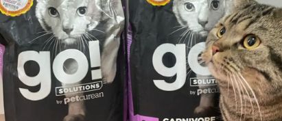 无谷猫粮对猫咪更好？GO！SOLUTIONS为你揭晓