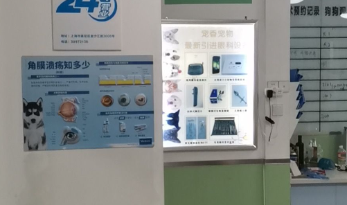 宠物诊所24小时电话
