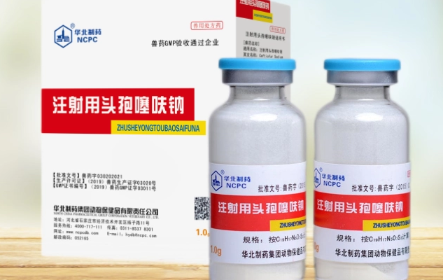 兽药头孢噻呋钠的作用与功效