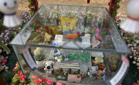 北京正规的宠物殡葬有哪些 北京正规的宠物殡葬有哪些