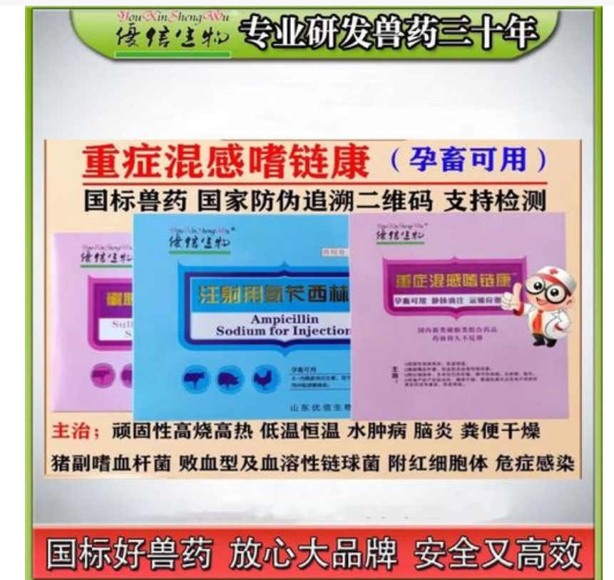 重症混感康怀孕母猪可以打吗