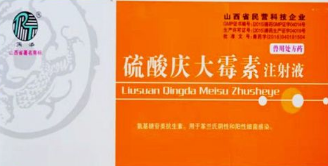 狗狗吐用庆大霉素一天打几针