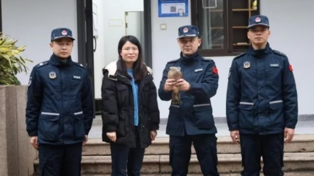 福州海警救助国家二级重点保护动物灰脸鵟鹰