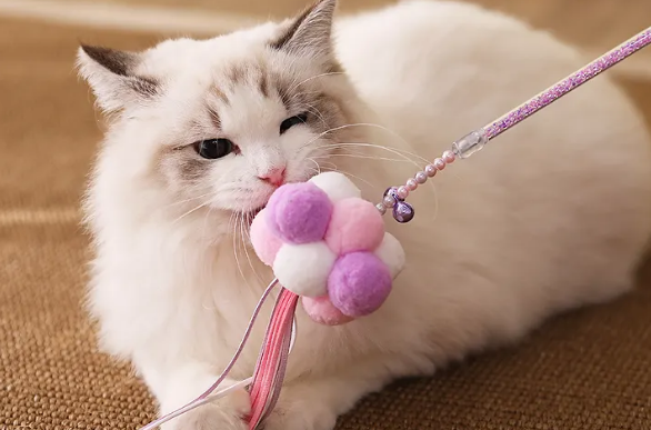 逗猫棒自己做 逗猫棒自己做