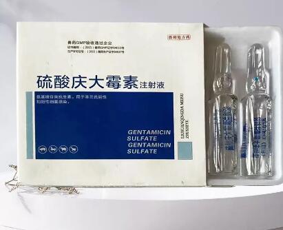 狗狗拉稀带血吃庆大霉素 狗狗拉稀带血吃庆大霉素