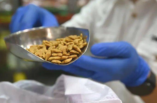 好侣中国有限公司猫粮官网