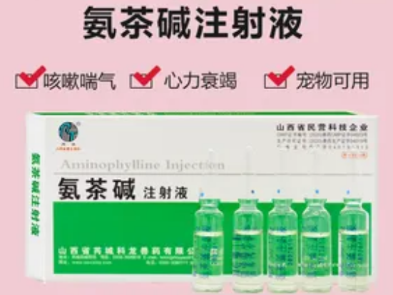 氨茶碱的药理作用