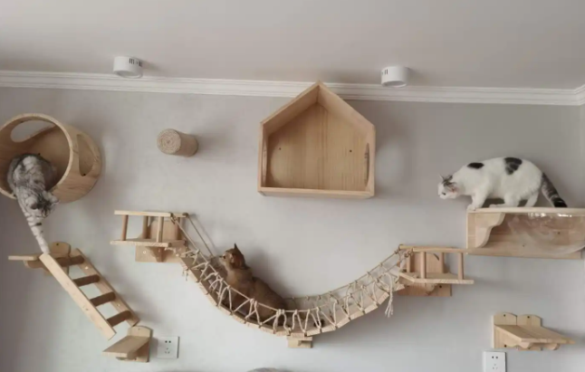 猫爬架要上漆吗