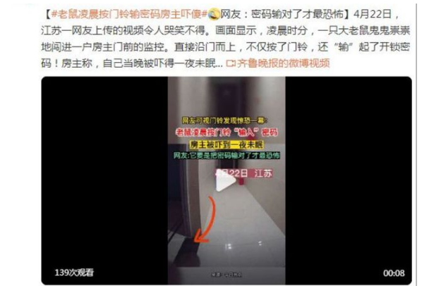 老鼠凌晨按门铃输密码房主吓傻，网友：密码输对了才最恐怖！