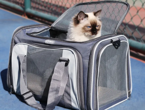 猫包建议买背包还是手提包 猫包建议买背包还是手提包