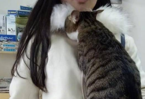 猫主子太黏主人，每天“投怀送抱”求主人吸猫，网友：放着我来