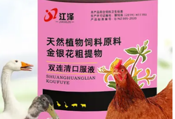 兽用双黄连口服液的功效与作用 兽用双黄连口服液的功效与作用