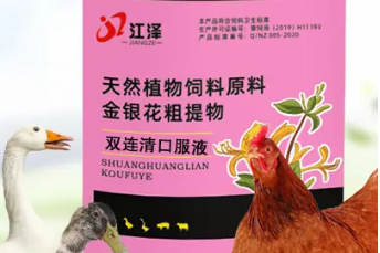 双黄连口服液功效有哪些