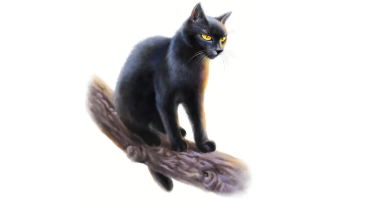 猫武士死因最搞笑 猫武士死因最搞笑