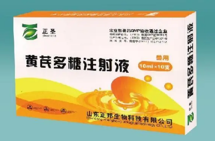 兽药黄芪多糖的作用与功效 兽药黄芪多糖的作用与功效