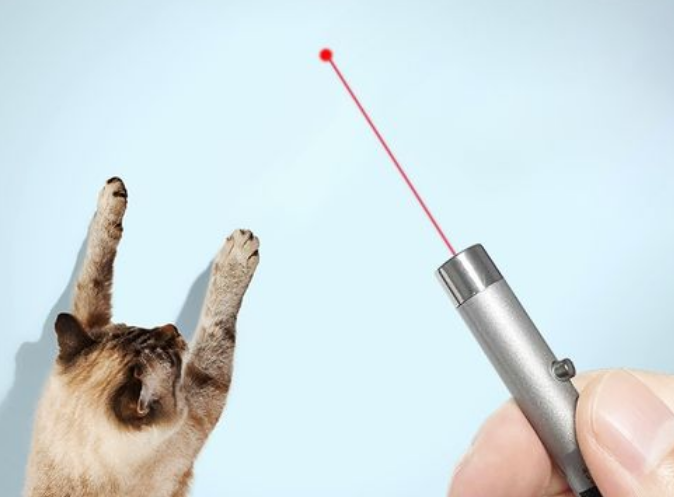 激光笔逗猫棒 激光笔逗猫棒