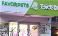 宠物店一年能赚20万吗