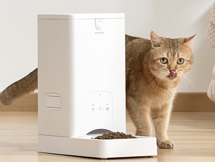 宠小到大 Pawgether · 智能养宠品质生活 宠小到大 Pawgether · 智能养宠品质生活