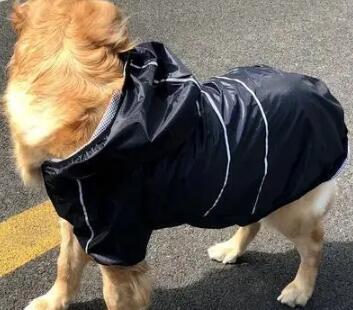 彼痞客宠物雨衣如何