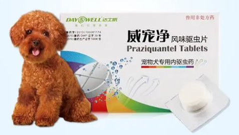 国产狗狗驱虫药哪个好