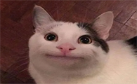 最近很火的微笑猫恐怖