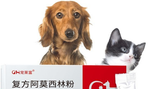 阿莫西林狗狗的用量