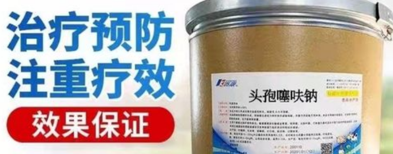 兽用头孢噻呋钠可以口服吗