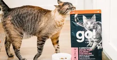 百加世go猫粮，让宠物生长更强健