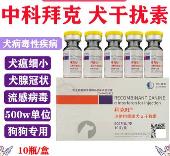 宠物干扰素多少钱