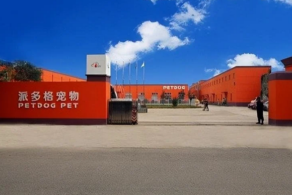 宠物行业人才摇篮,派多格为宠物行业持续输送人才 宠物行业人才摇篮,派多格为宠物行业持续输送人才