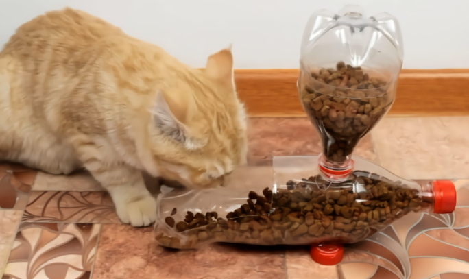 自制简易自动喂食器 自制简易自动喂食器