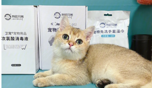 来旺兄弟宠物品牌怎么样 来旺兄弟宠物品牌怎么样