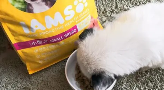 爱慕思iams狗粮怎么样 爱慕思iams狗粮怎么样