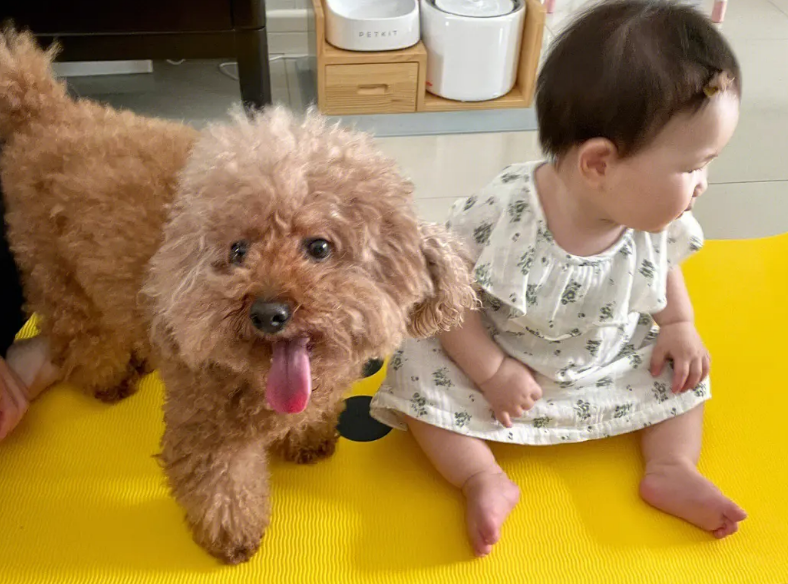 猫咪狗狗为什么喜欢婴儿呢 猫咪狗狗为什么喜欢婴儿呢