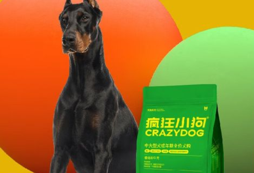 疯狂的小狗到底好不好 疯狂的小狗到底好不好