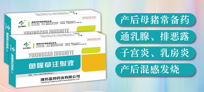 鱼腥草注射注液兽用用法 鱼腥草注射注液兽用用法