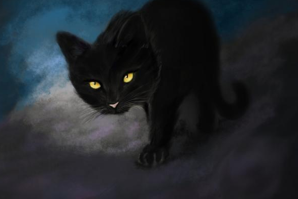 养猫防鬼是真的吗
