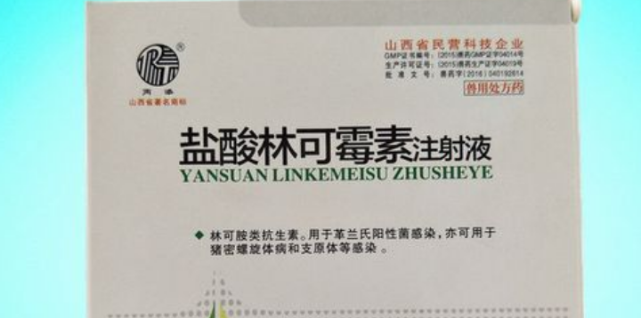 兽用林可霉素可以治疗咳嗽吗
