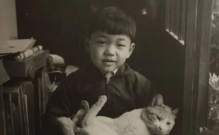 坂本龙一去世,这是他家四代人与猫的故事 坂本龙一去世,这是他家四代人与猫的故事