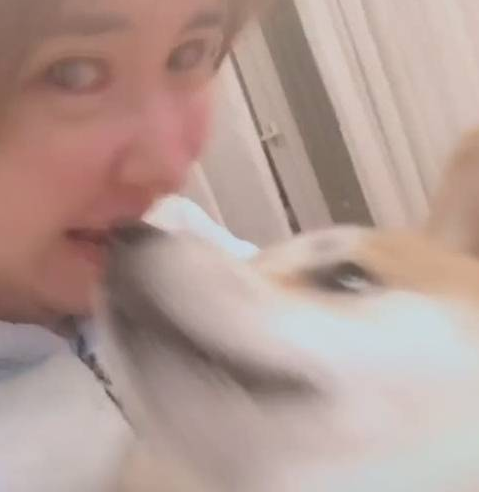美女突然对着狗狗耳朵咬了下去,狗狗:你可能不信,我被人咬了! 美女突然对着狗狗耳朵咬了下去,狗狗:你可能不信,我被人咬了!